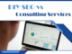 SEO Services vs DIY SEO: Which Is Right for Your Business?